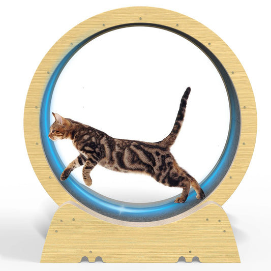 Cat Wheel, 35 Inch Cat Exercise Wheel for Indoor Cats