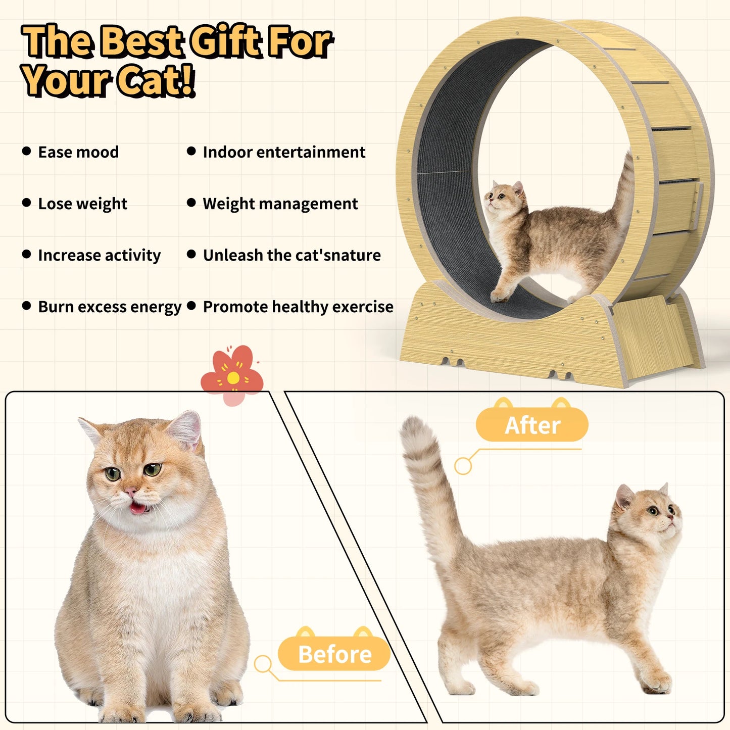 Cat Wheel, 35 Inch Cat Exercise Wheel for Indoor Cats